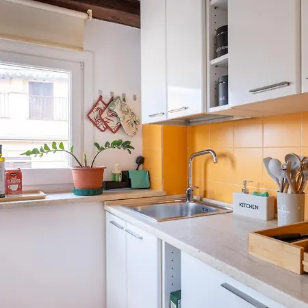 Piazza Navona Rooftop Retreat B 公寓 罗马